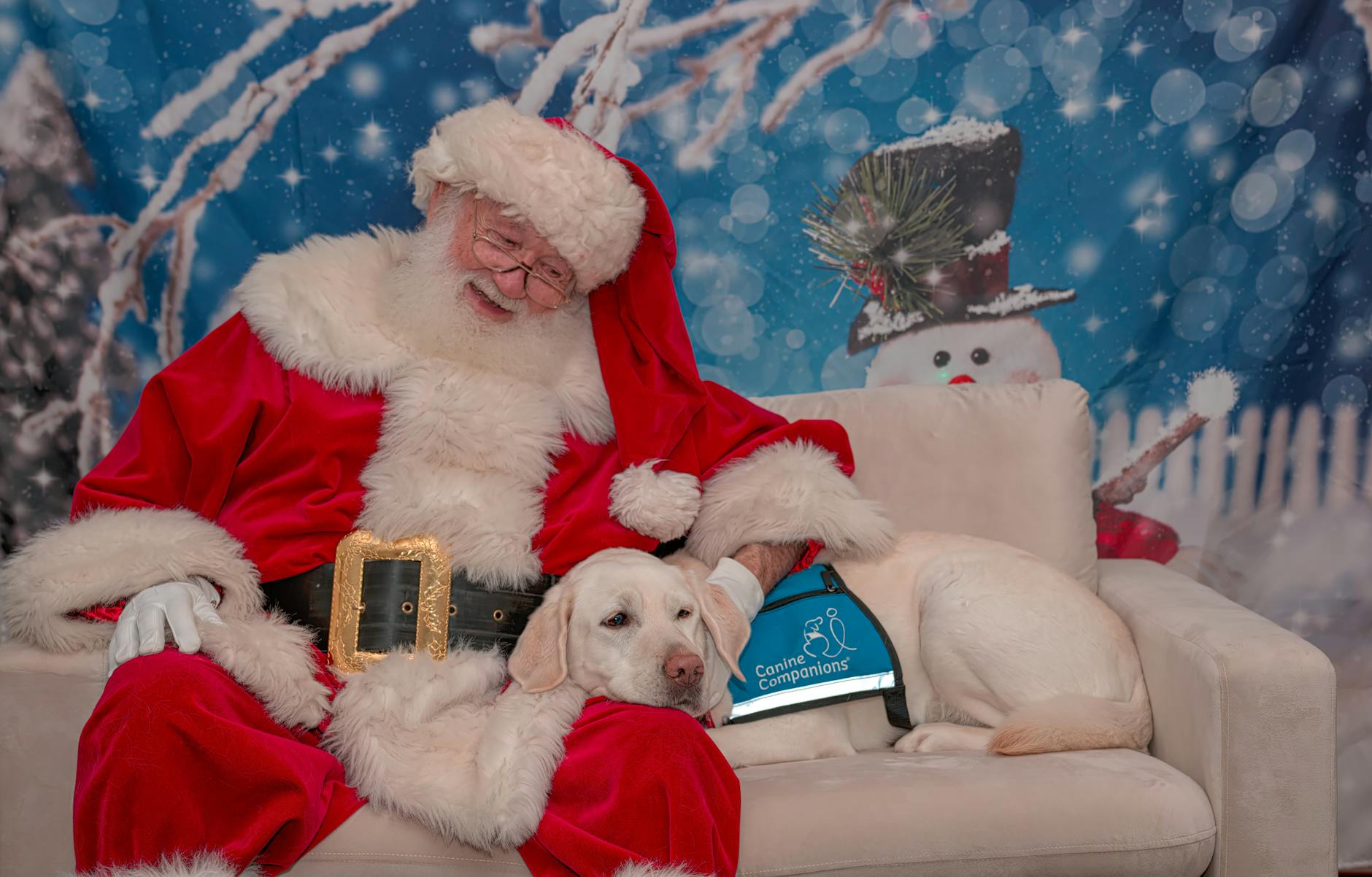 Santa Claus sitting with a Labrador Retriever guide dog, spreading holiday cheer.